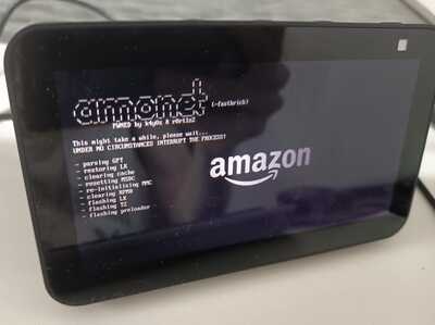 Amonet rodando na echo show 5